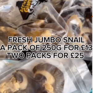 Fresh Jumbo Snail 250g a pack